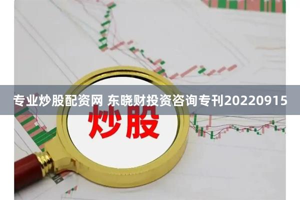 专业炒股配资网 东晓财投资咨询专刊20220915